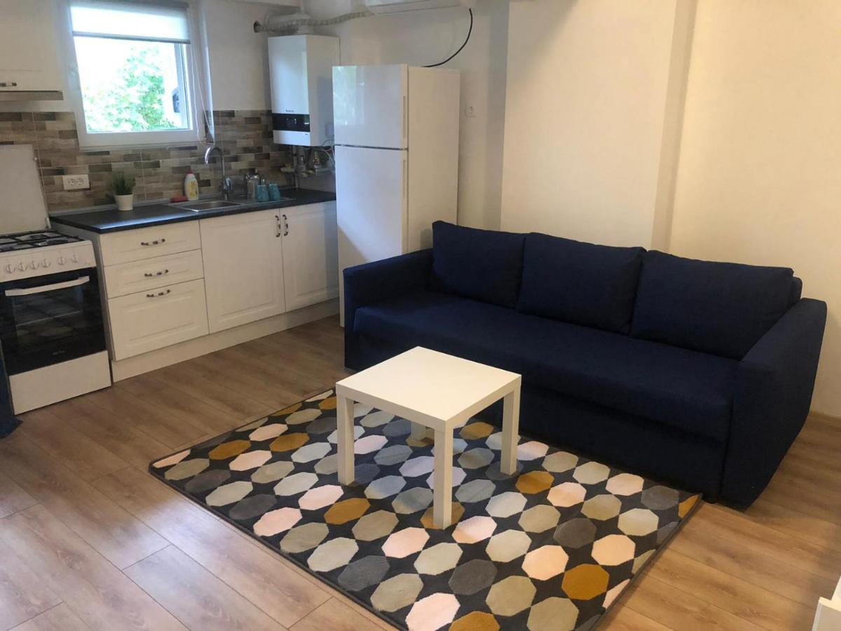 Apartament Beside Airport Otopeni Zewnętrze zdjęcie