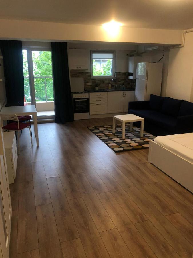 Apartament Beside Airport Otopeni Zewnętrze zdjęcie