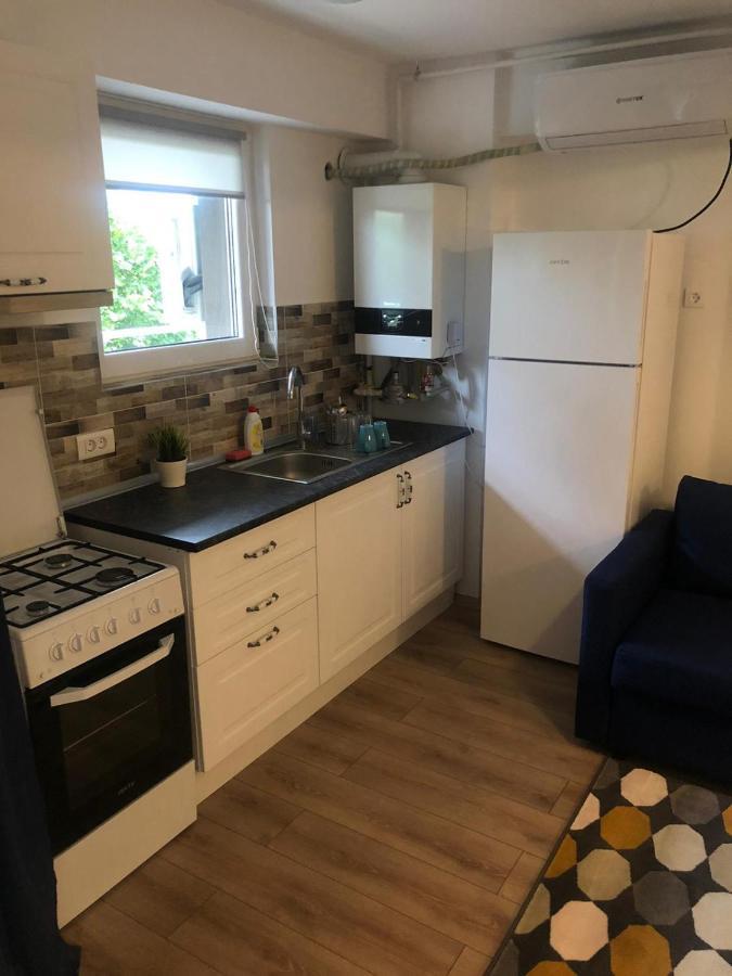 Apartament Beside Airport Otopeni Zewnętrze zdjęcie